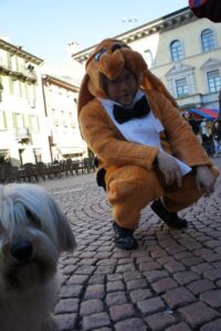 Bau Band, Cane e pinguino in città 2011/12, foto 14