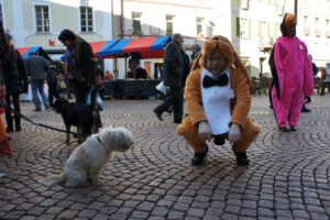 Bau Band, Cane e pinguino in città 2011/12, foto 12