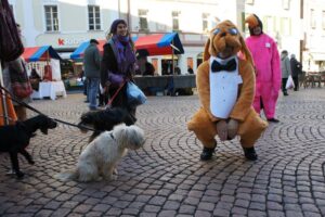 Bau Band, Cane e pinguino in città 2011/12, foto 11